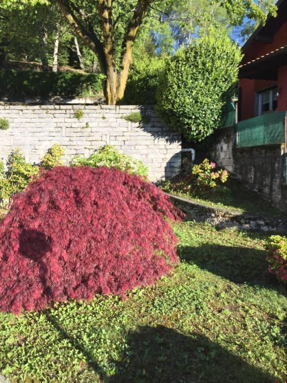 Villa Assunta Premeno Exteriör bild